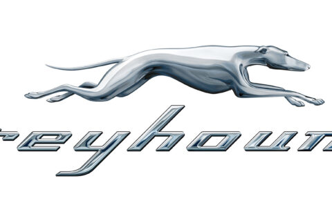 greyhound logo